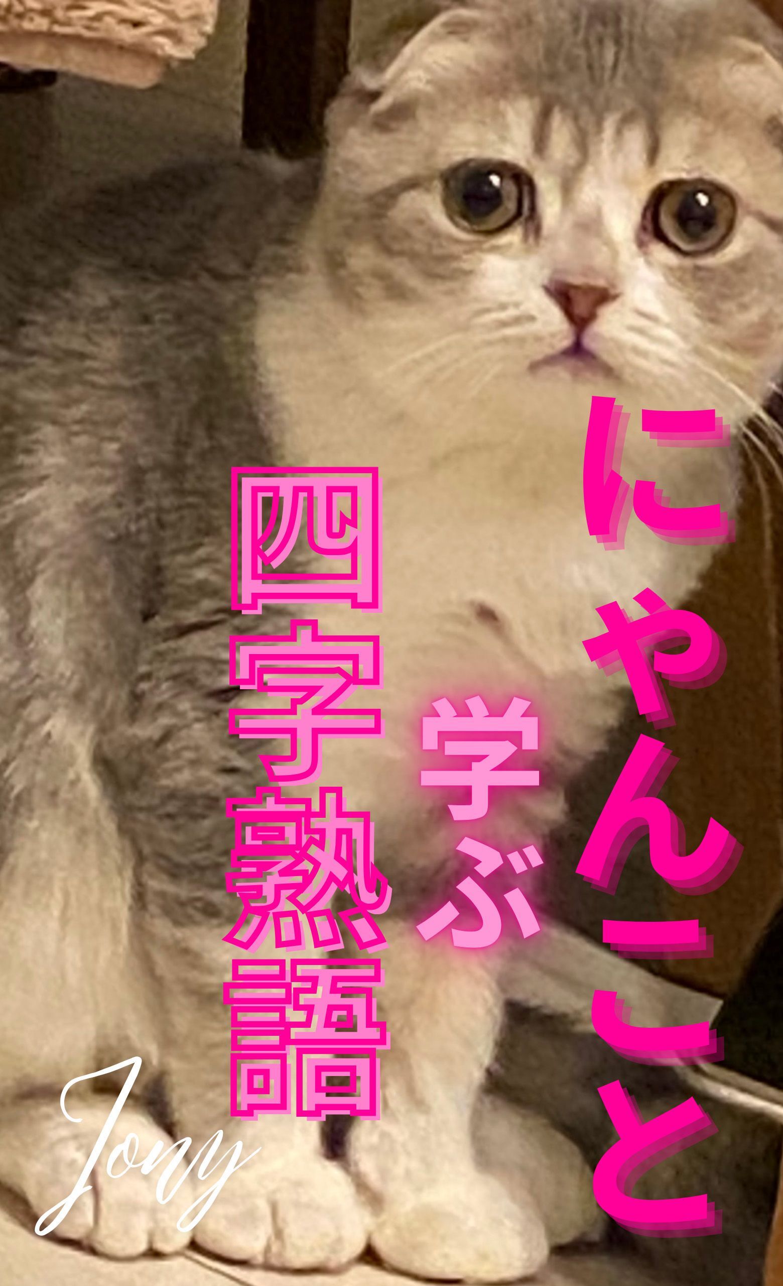 にゃんこと学ぶ四字熟語