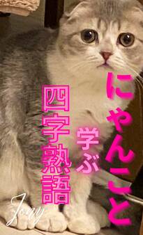 にゃんこと学ぶ四字熟語