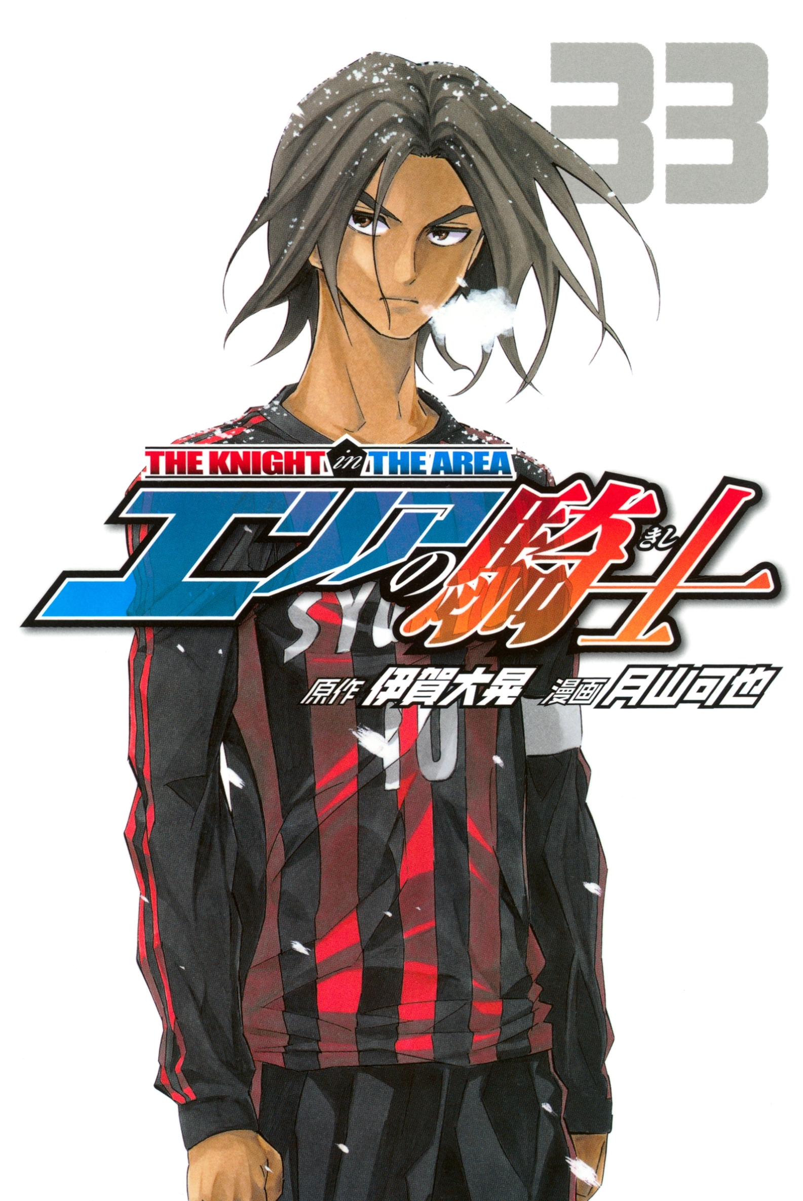エリアの騎士（33）