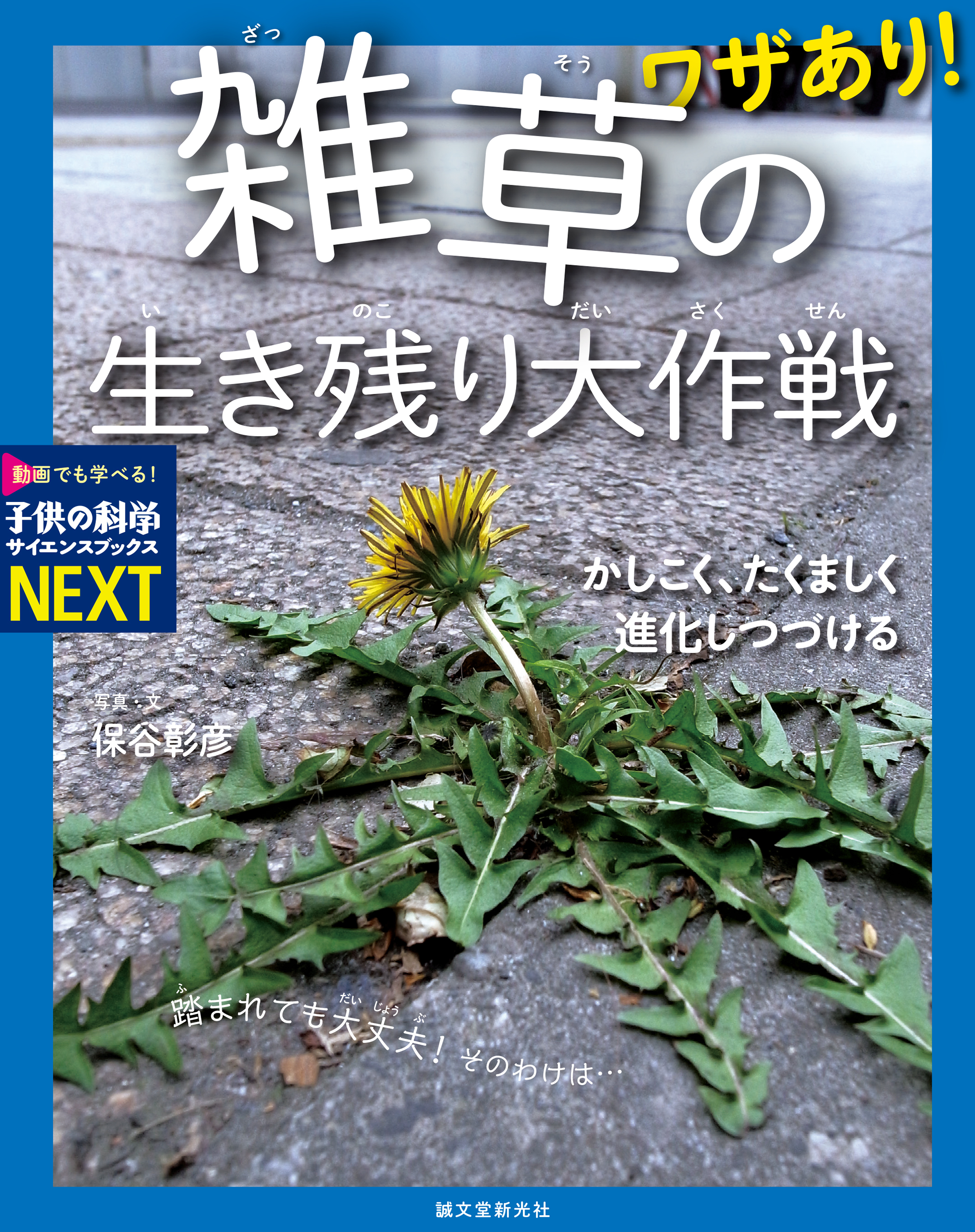 ワザあり！ 雑草の生き残り大作戦