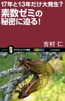 17年と13年だけ大発生?素数ゼミの秘密に迫る!