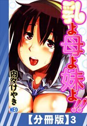 【分冊版】乳よ母よ妹よ!!（３）