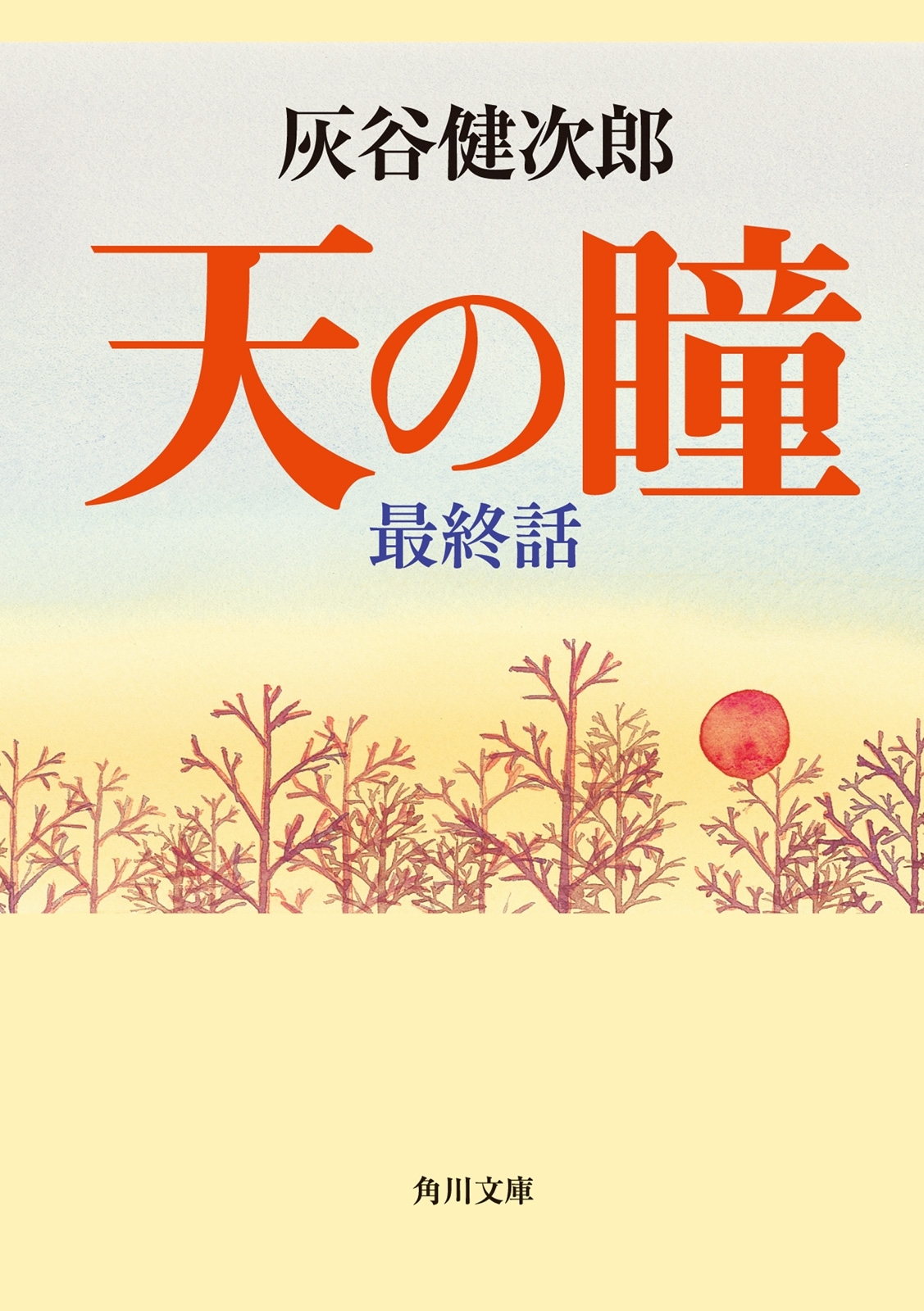 天の瞳