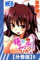 【分冊版】妹たちのエッチなひみつ(5)
