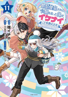 婚約破棄された令嬢を拾った俺が、イケナイことを教え込む~美味しいものを食べさせておしゃれをさせて、世界一幸せな少女にプロデュース!~(コミック)