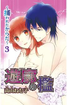 遊廓の檻 ~捕われたからだ~