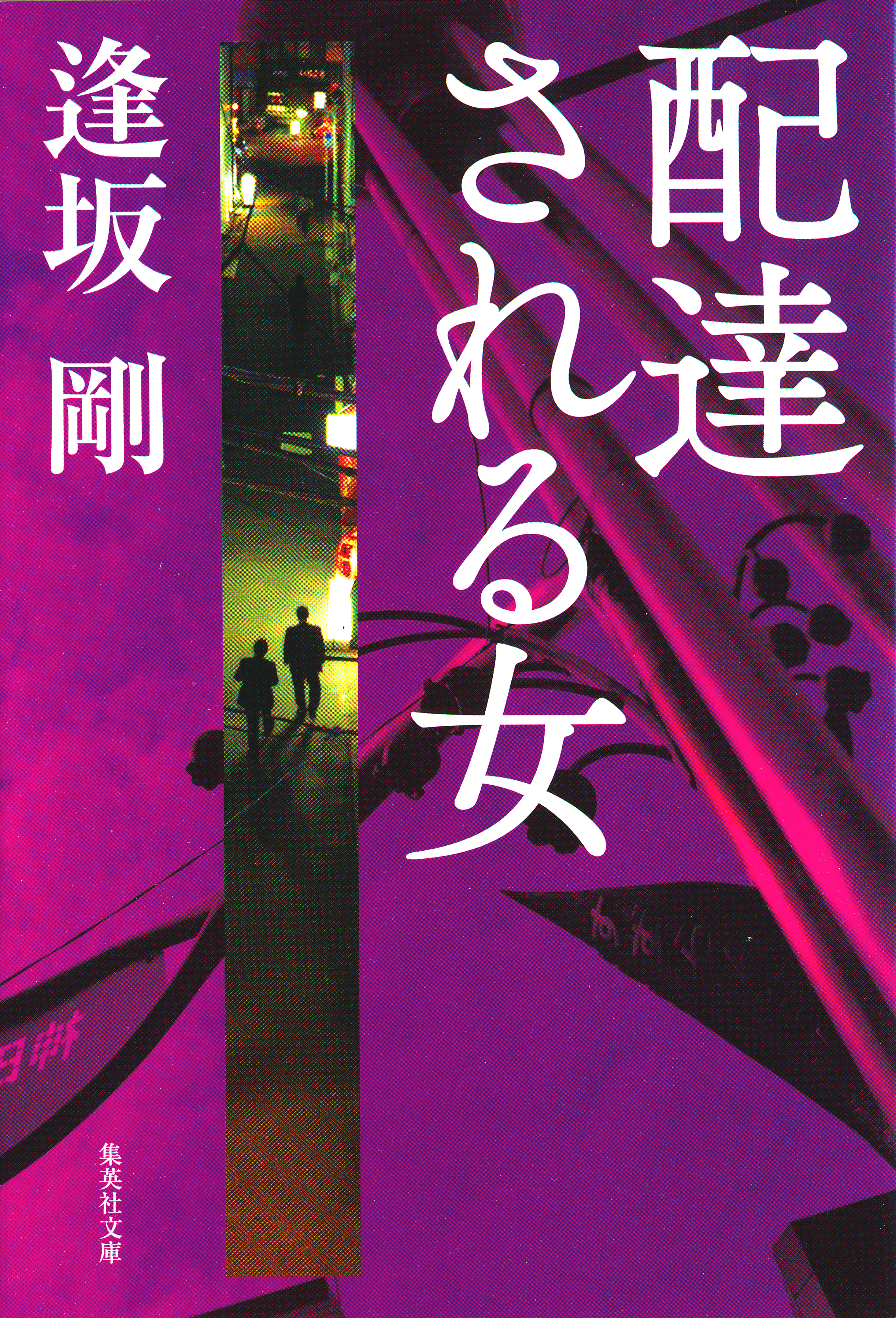 配達される女（御茶ノ水警察シリーズ）