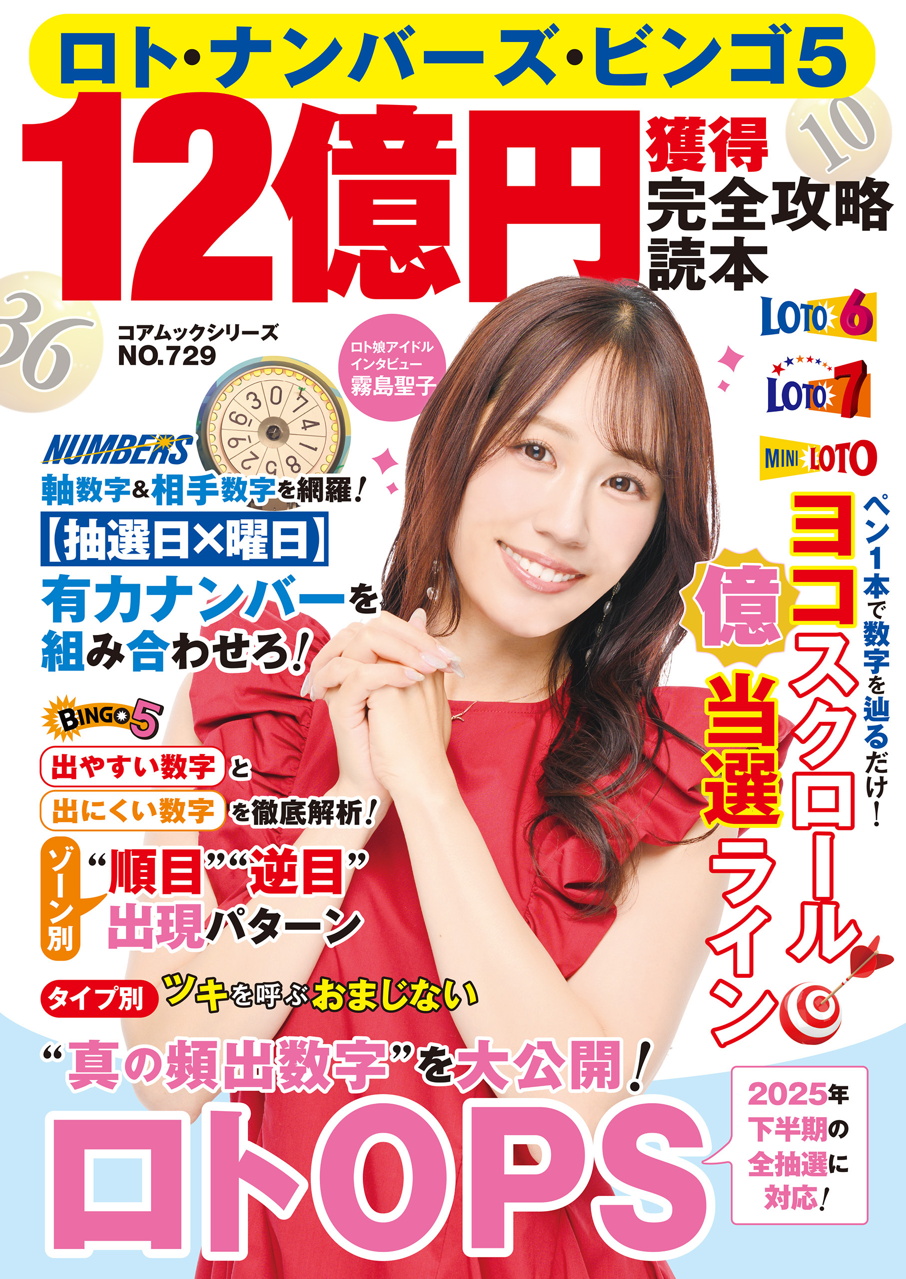 ロト・ナンバーズ・ビンゴ5　12億円獲得完全攻略読本