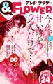&フラワー 2017年24号
