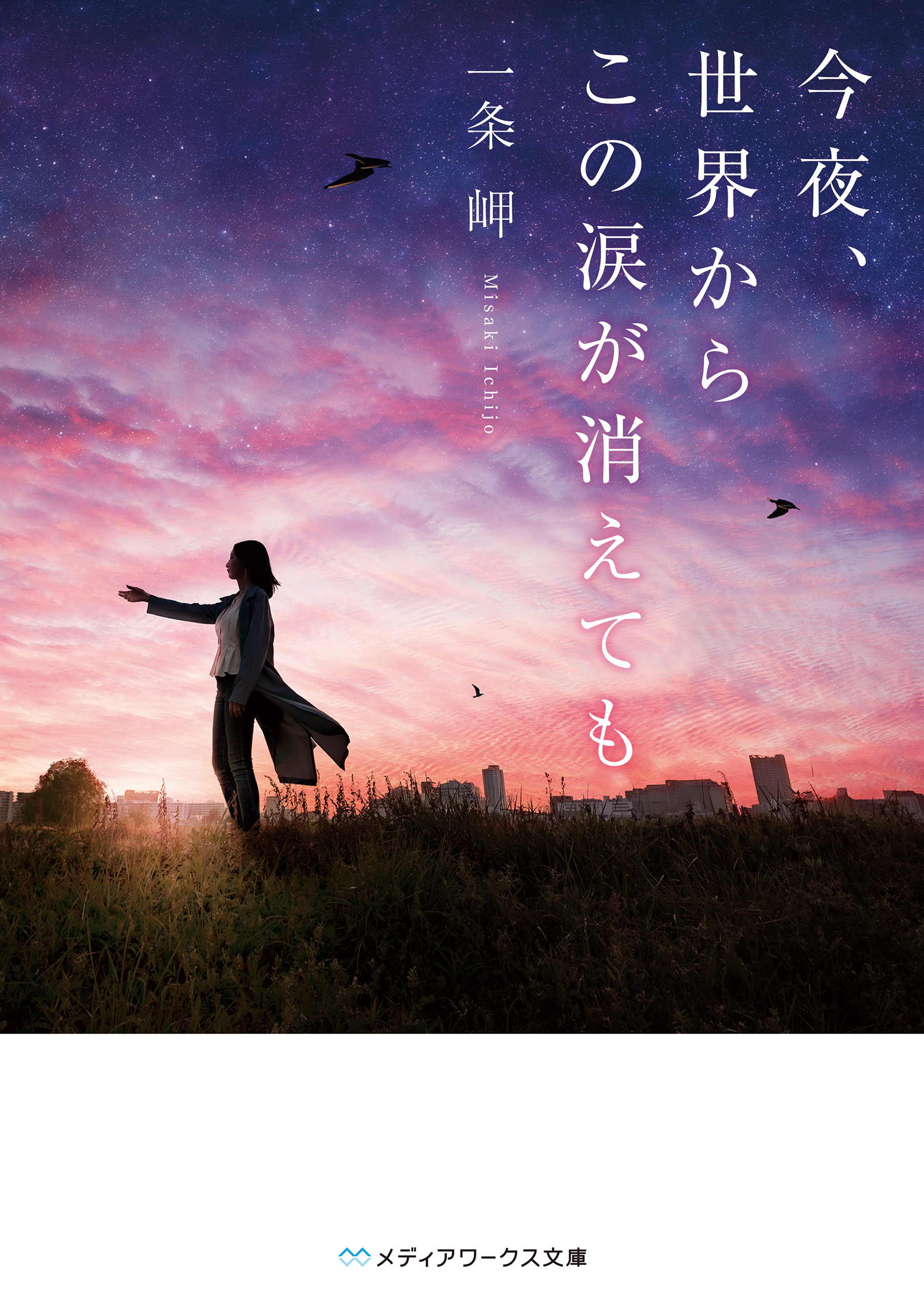 今夜、世界からこの恋が消えても
