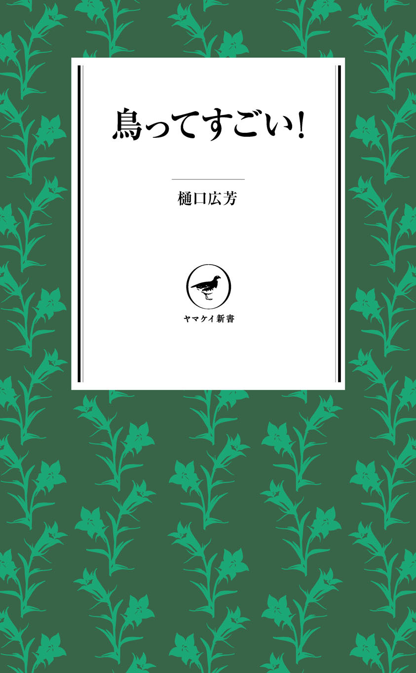 ヤマケイ新書　鳥ってすごい！