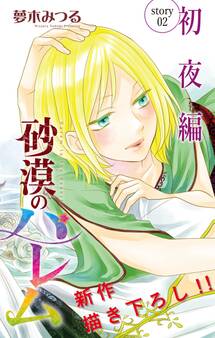 Love Silky 砂漠のハレム 初夜編