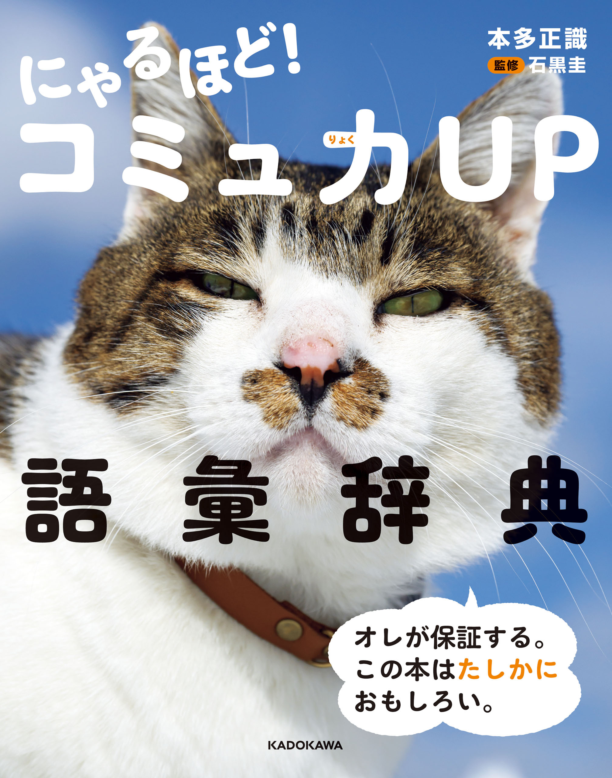 にゃるほど！ コミュ力UP語彙辞典