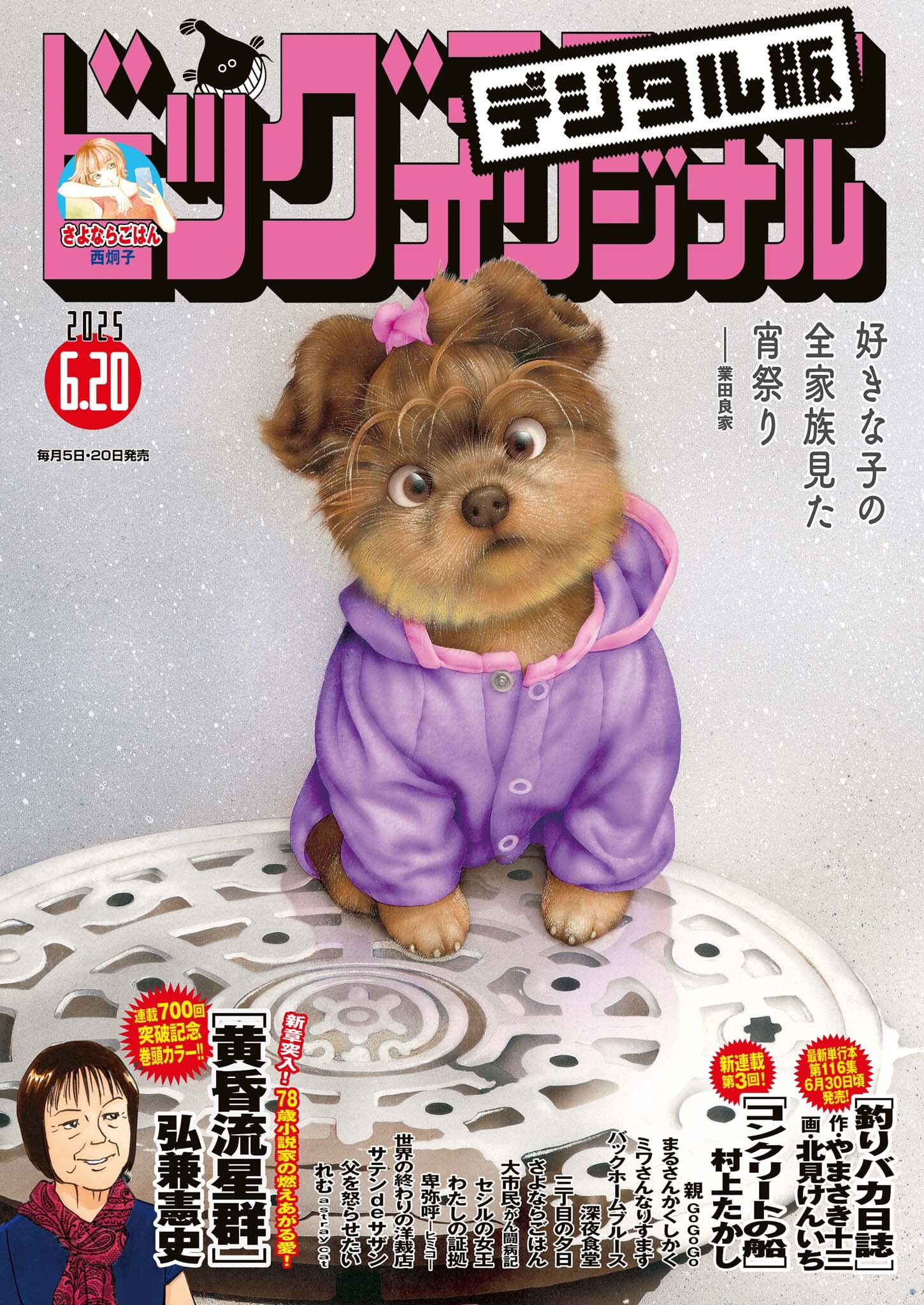 ビッグコミックオリジナル　2025年12号（2025年6月5日発売)