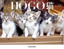 HOGO猫