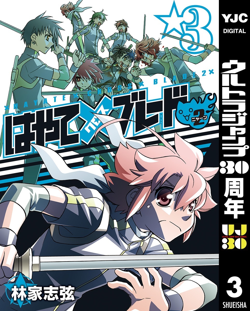 はやて×ブレード2 3