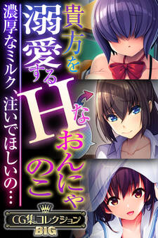 貴方を溺愛するHなおんにゃのこ ~濃厚なミルク、注いでほしいの…~【CG集コレクションBIG】