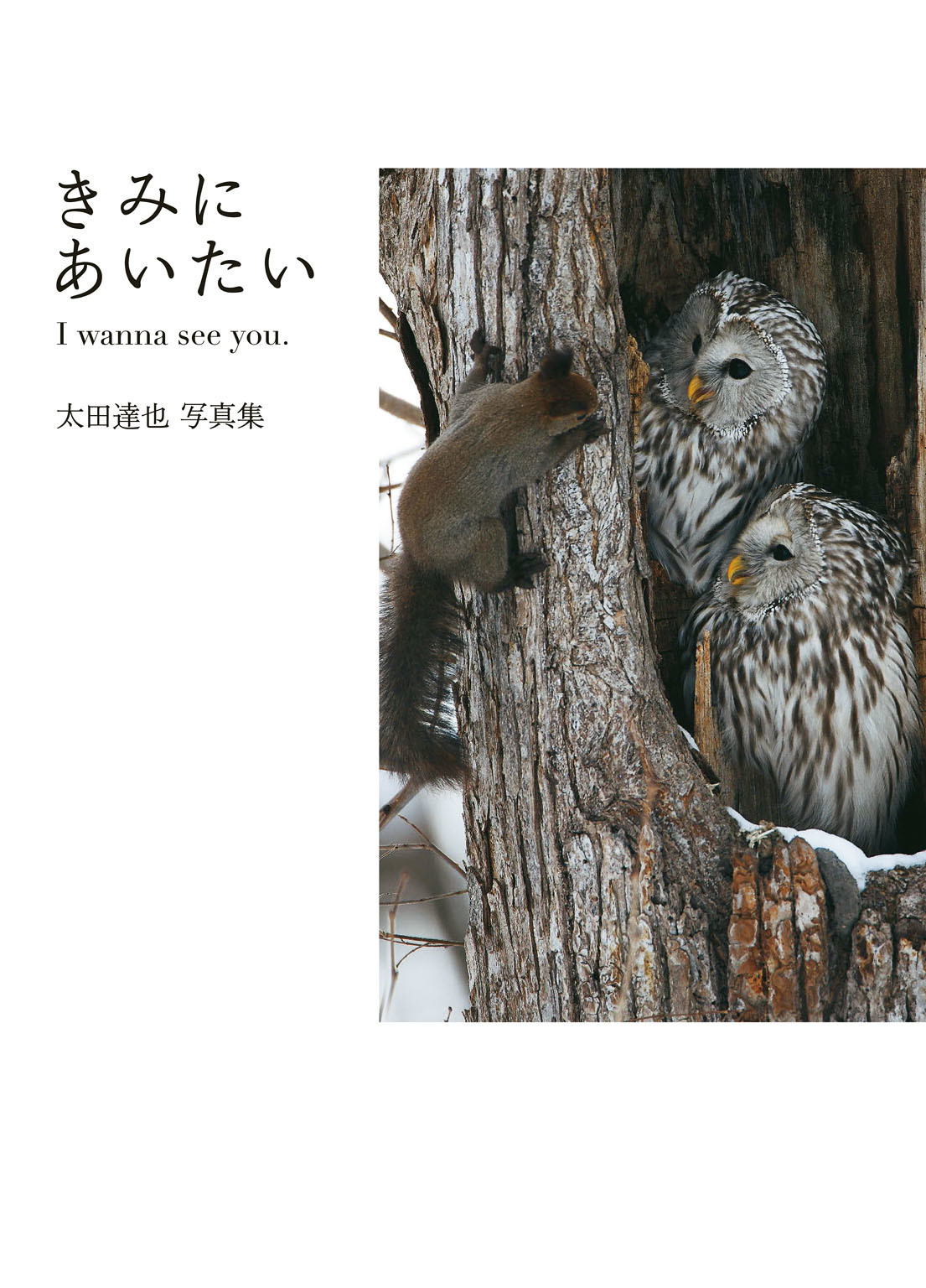 きみにあいたい　I wanna see you.