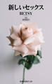 新しいセックス