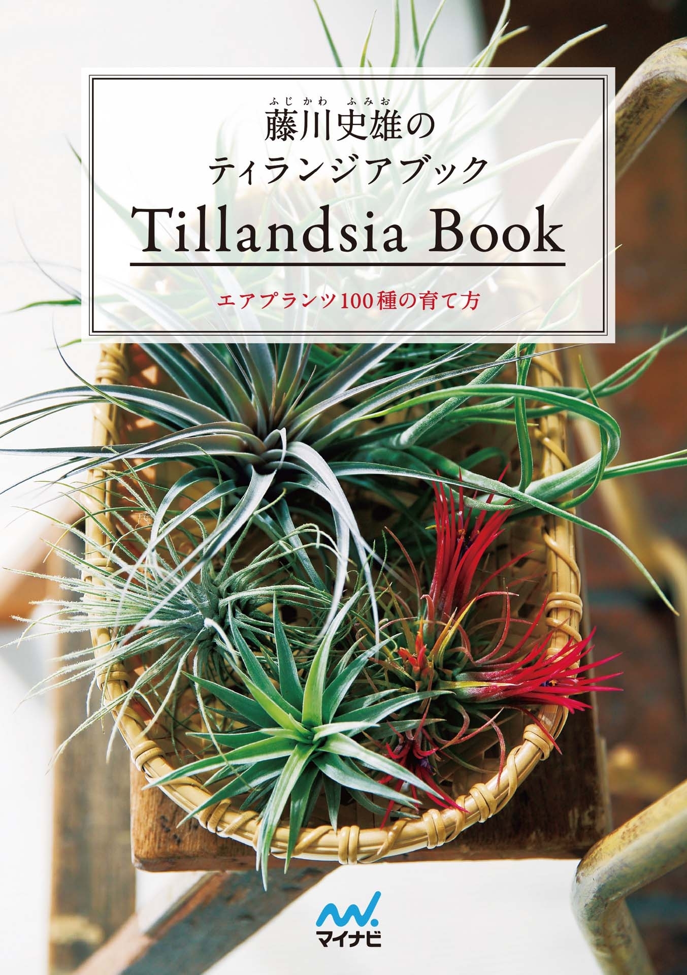 藤川史雄のティランジアブック　エアプランツ100種の育て方