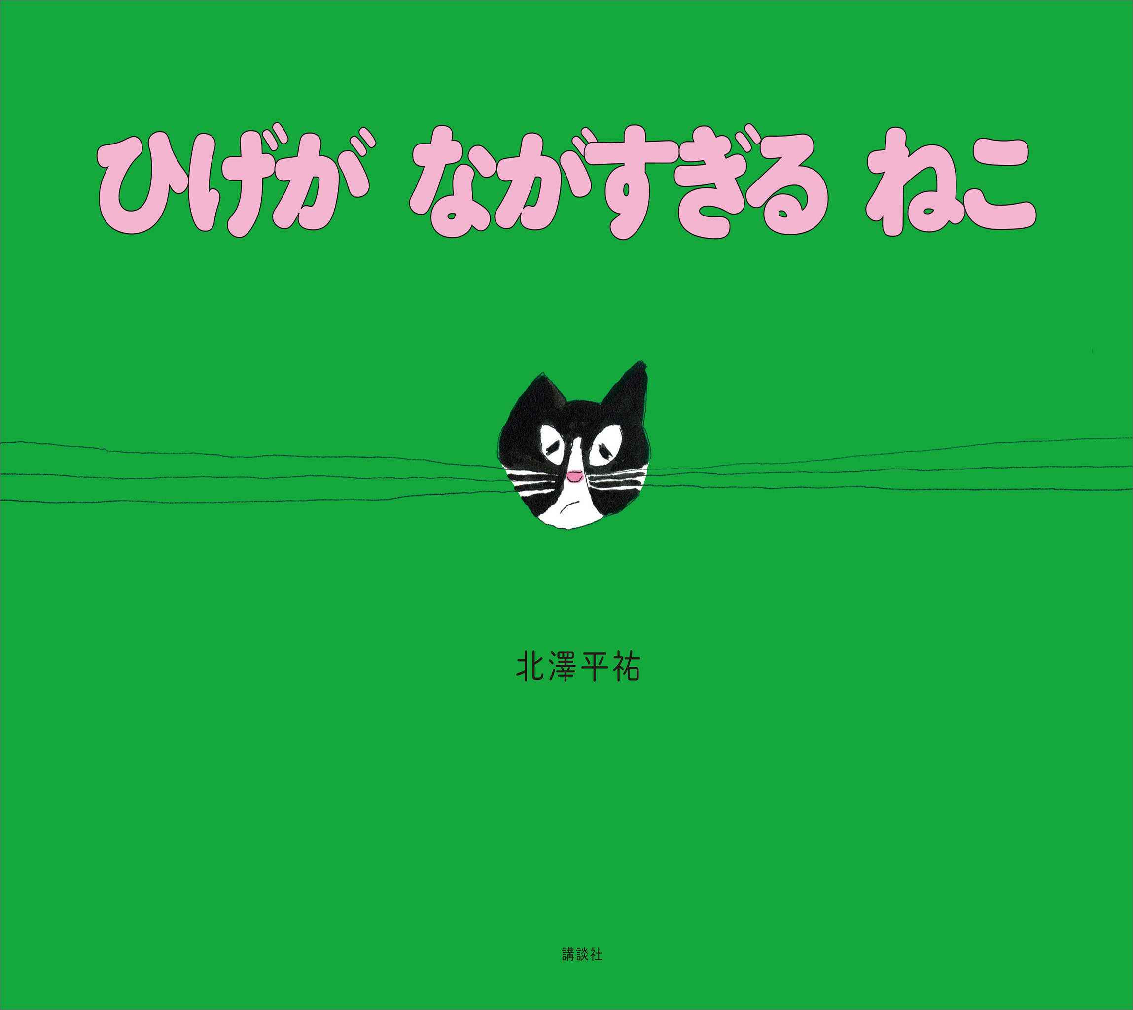 ひげが　ながすぎる　ねこ