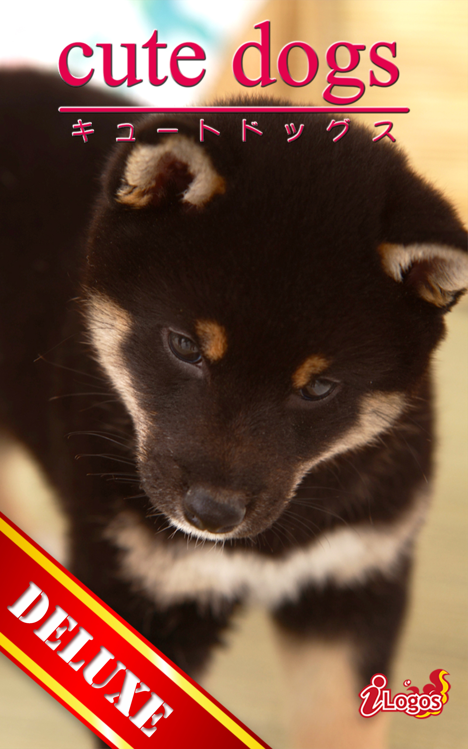 cute dogs DELUXE02 柴犬