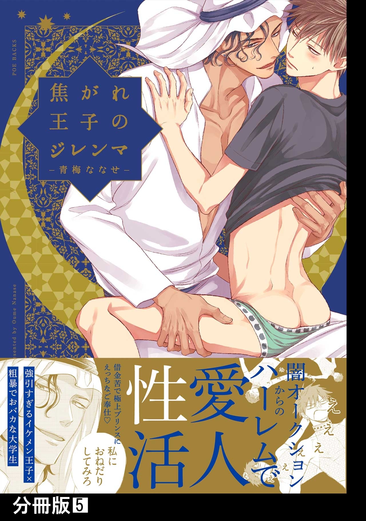 焦がれ王子のジレンマ【分冊版】(5)