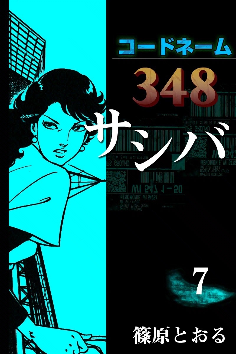 コードネーム348 サシバ　（7）