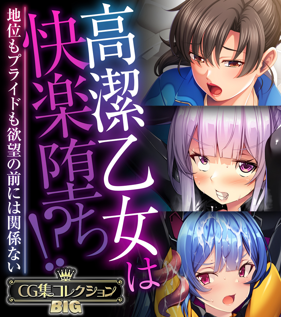 高潔乙女は快楽堕ち！？～地位もプライドも欲望の前には関係ない～【CG集コレクションBIG】