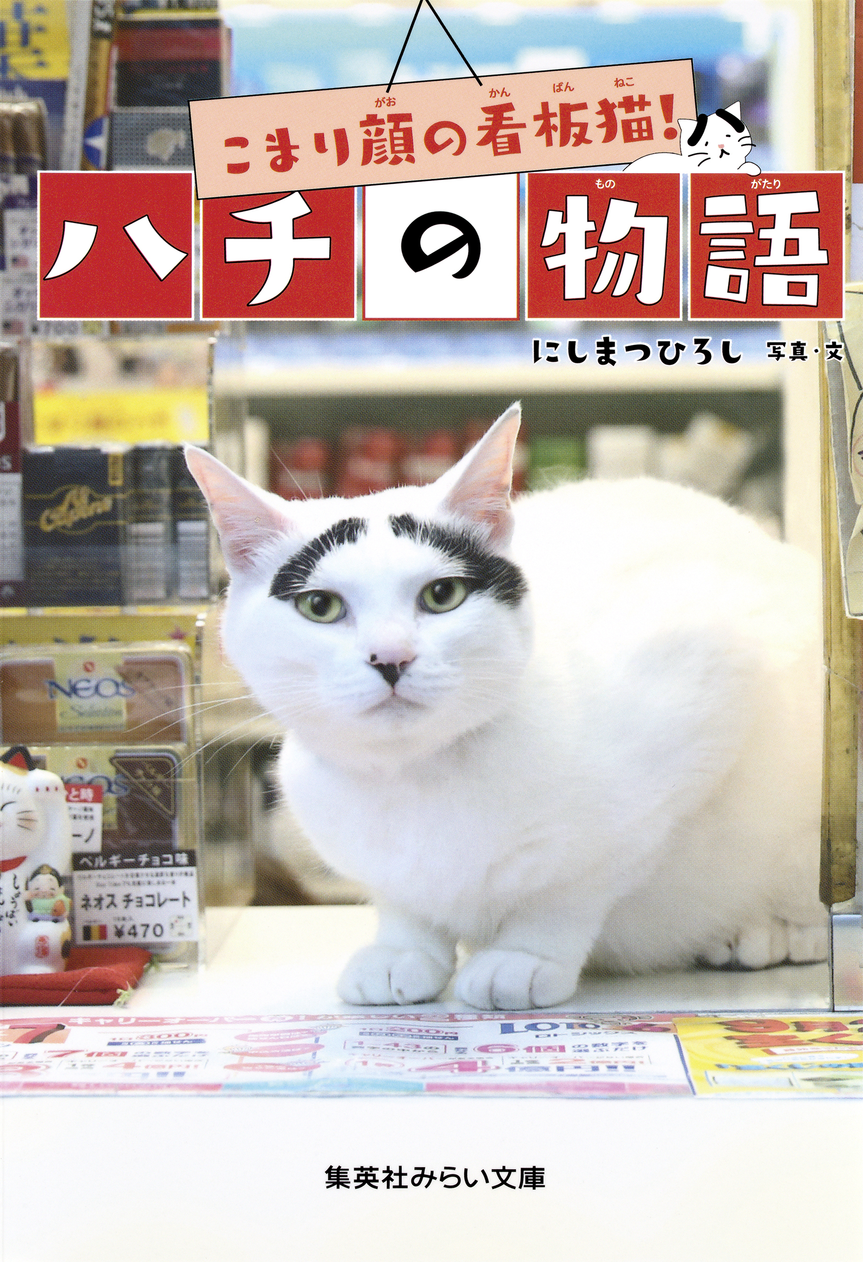 こまり顔の看板猫！　ハチの物語
