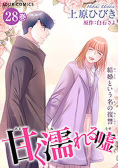 甘く濡れる嘘~結婚という名の復讐~ : 28