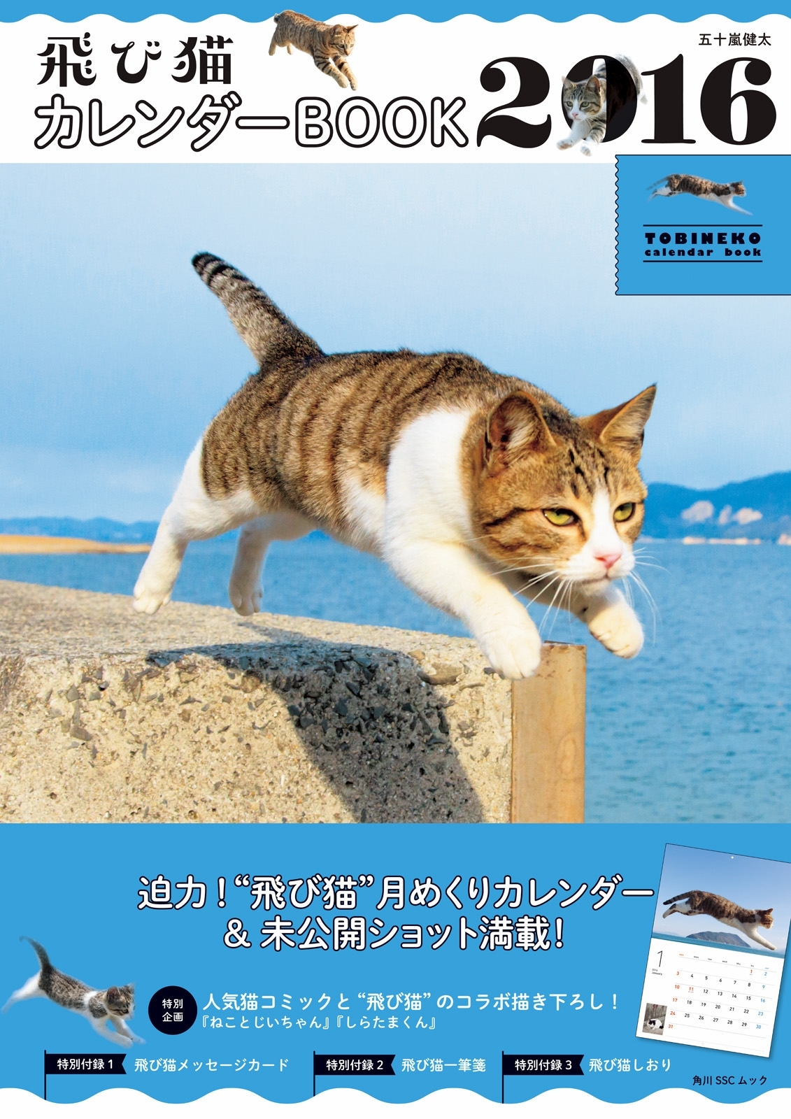 カレンダーBOOK 2016