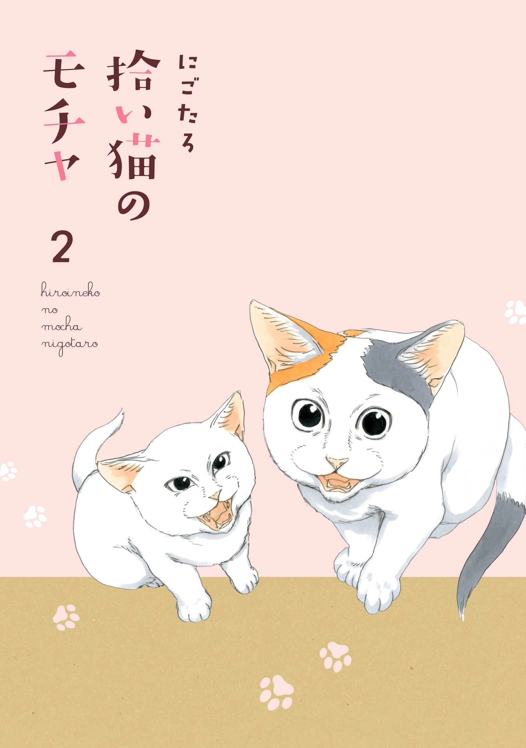 拾い猫のモチャ２
