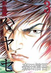 影風魔　ハヤセ