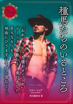 種馬たちのいるところ