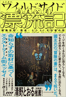 ワイルドサイド漂流記 歌舞伎町・西成・インド・その他の街