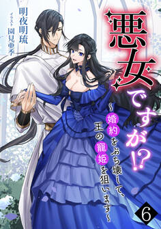 悪女ですが!? ~婚約をぶち壊して、王の寵姫を狙います~