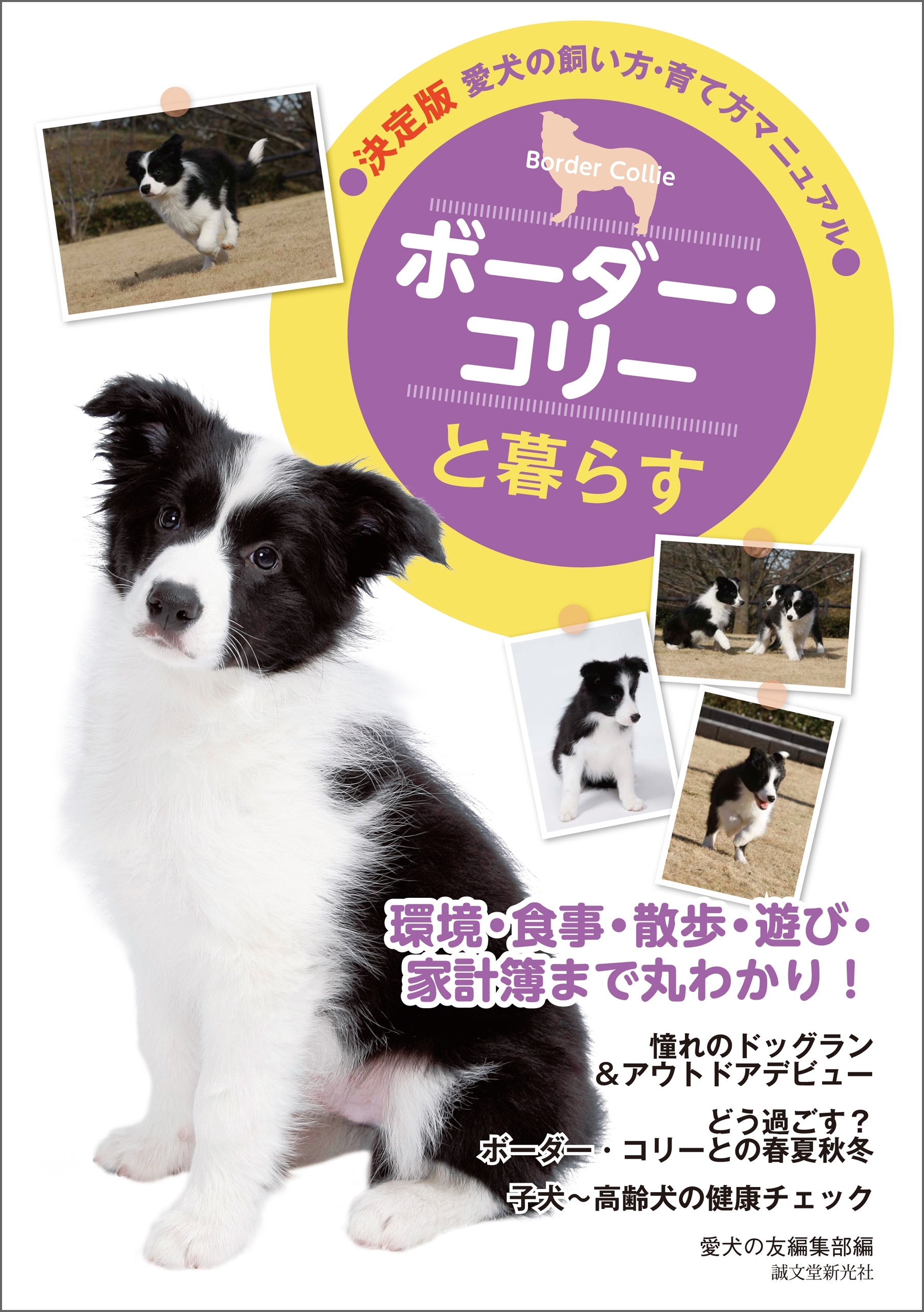 ボーダー・コリーと暮らす