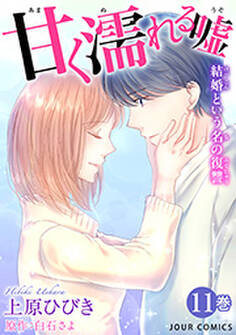 甘く濡れる嘘~結婚という名の復讐~ : 11