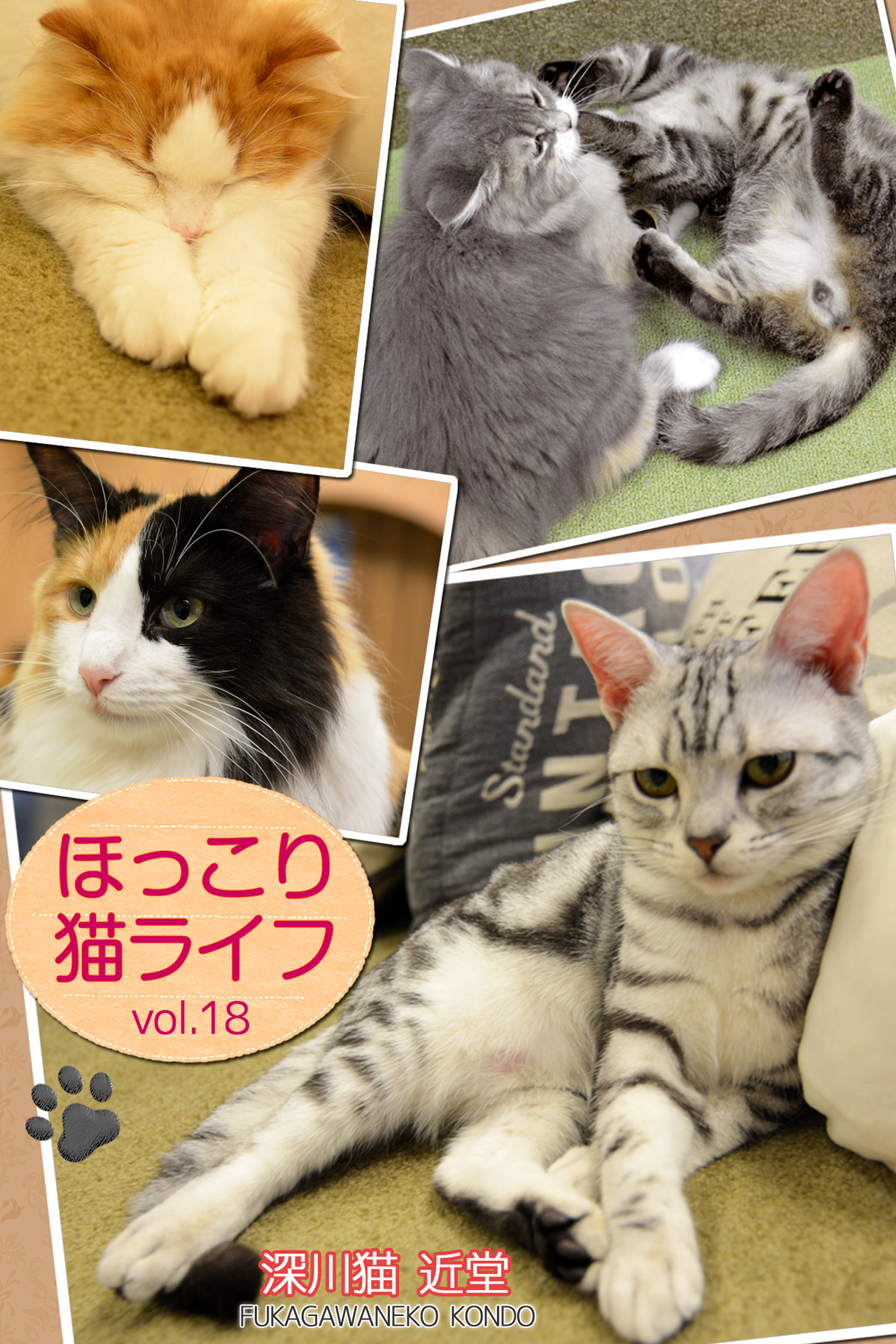 ほっこり猫ライフ　vol.18