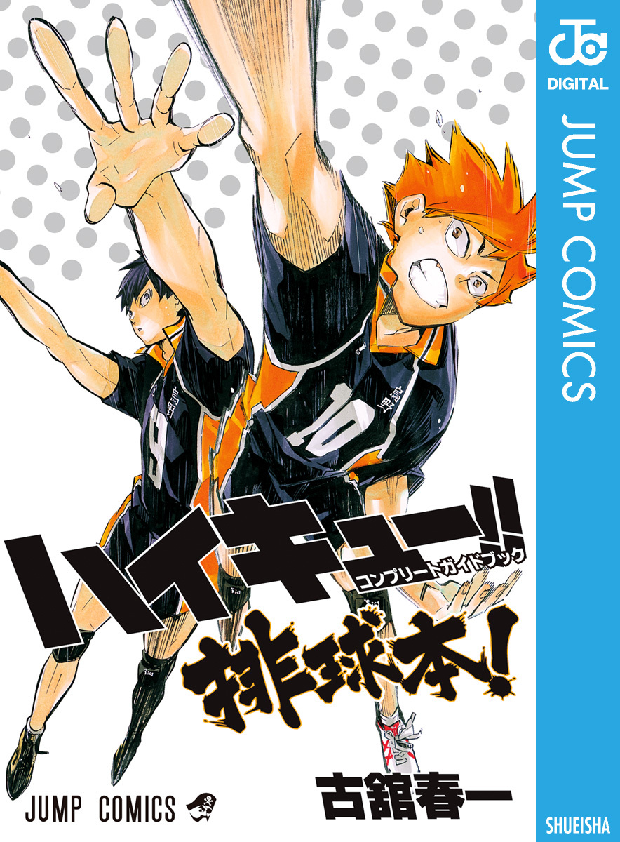 ハイキュー！！ コンプリートガイドブック 排球本！