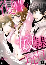 復讐の奴隷玩具（1）