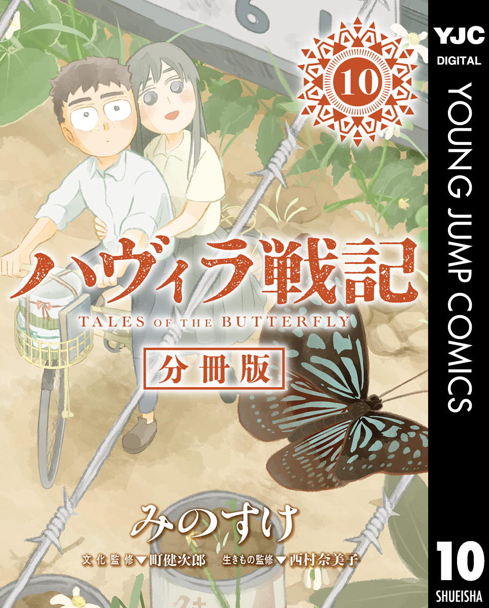 ハヴィラ戦記 第10話