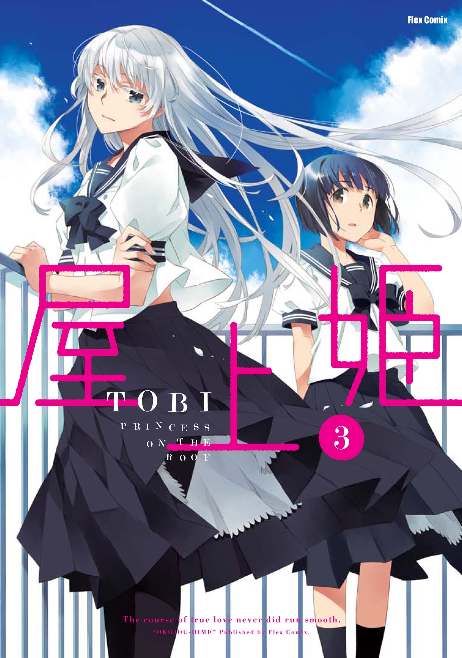 屋上姫（３）
