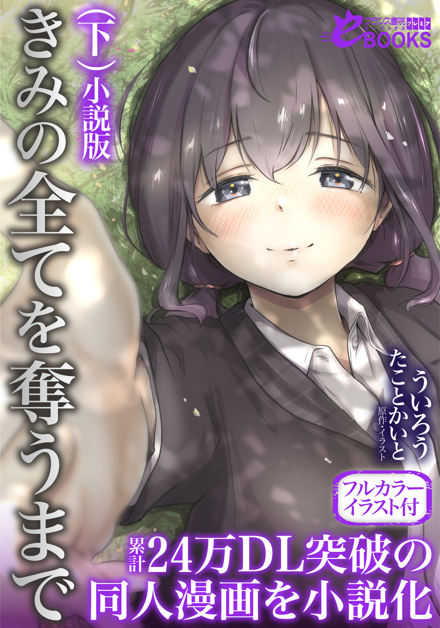 きみの全てを奪うまで　小説版【フルカラーイラスト付】