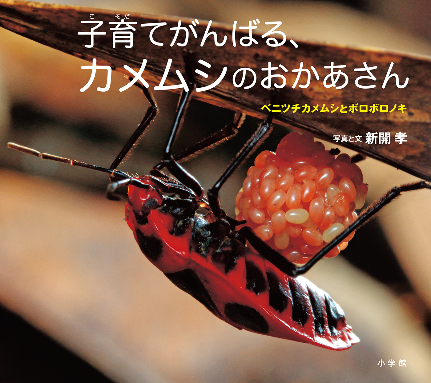 子育てがんばる、カメムシのおかあさん　～ベニツチカメムシとボロボロノキ～（小学館の図鑑ＮＥＯの科学絵本）
