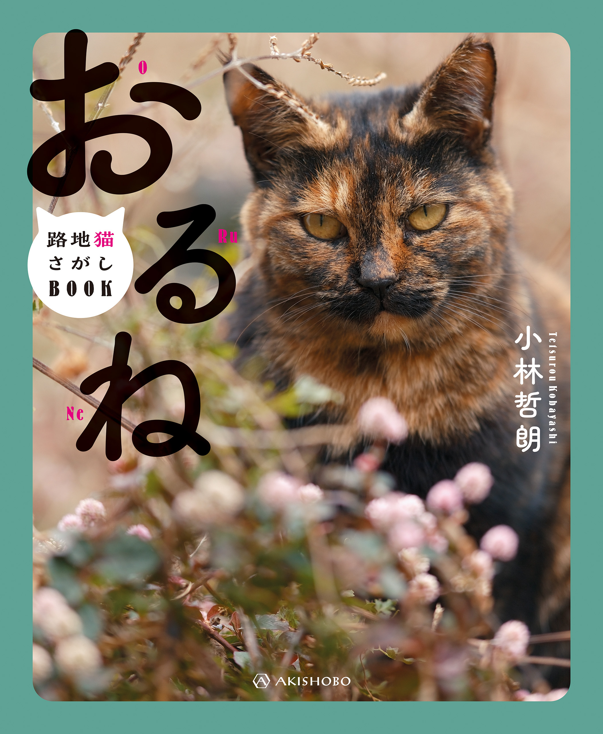 おるね――路地猫さがしBOOK