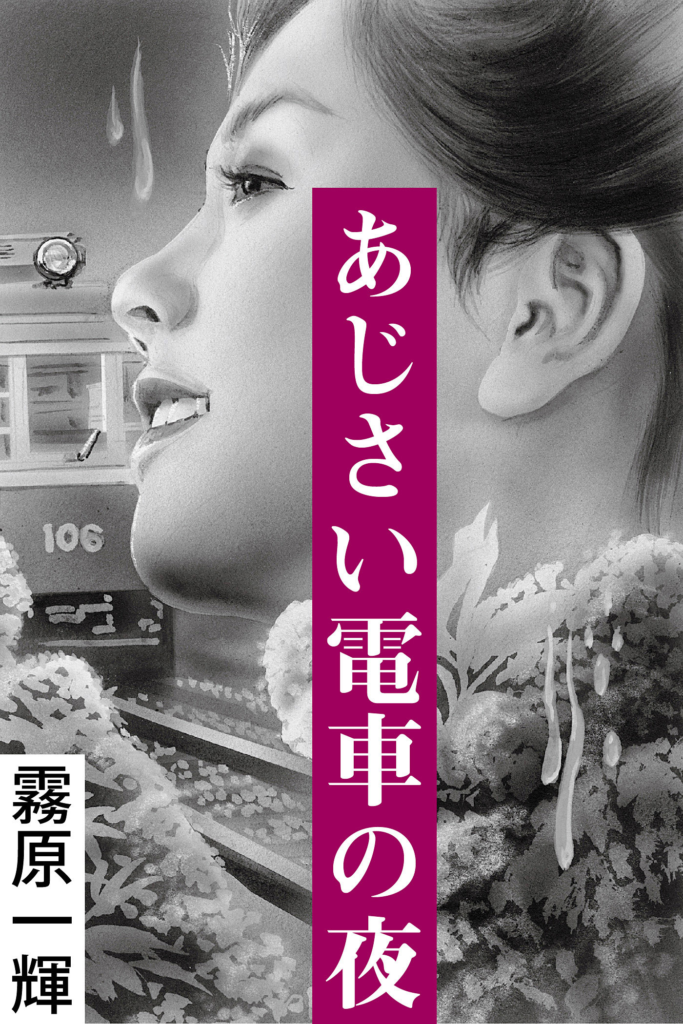 あじさい電車の夜