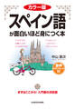 カラー版 音声ダウンロード付 スペイン語が面白いほど身につく本