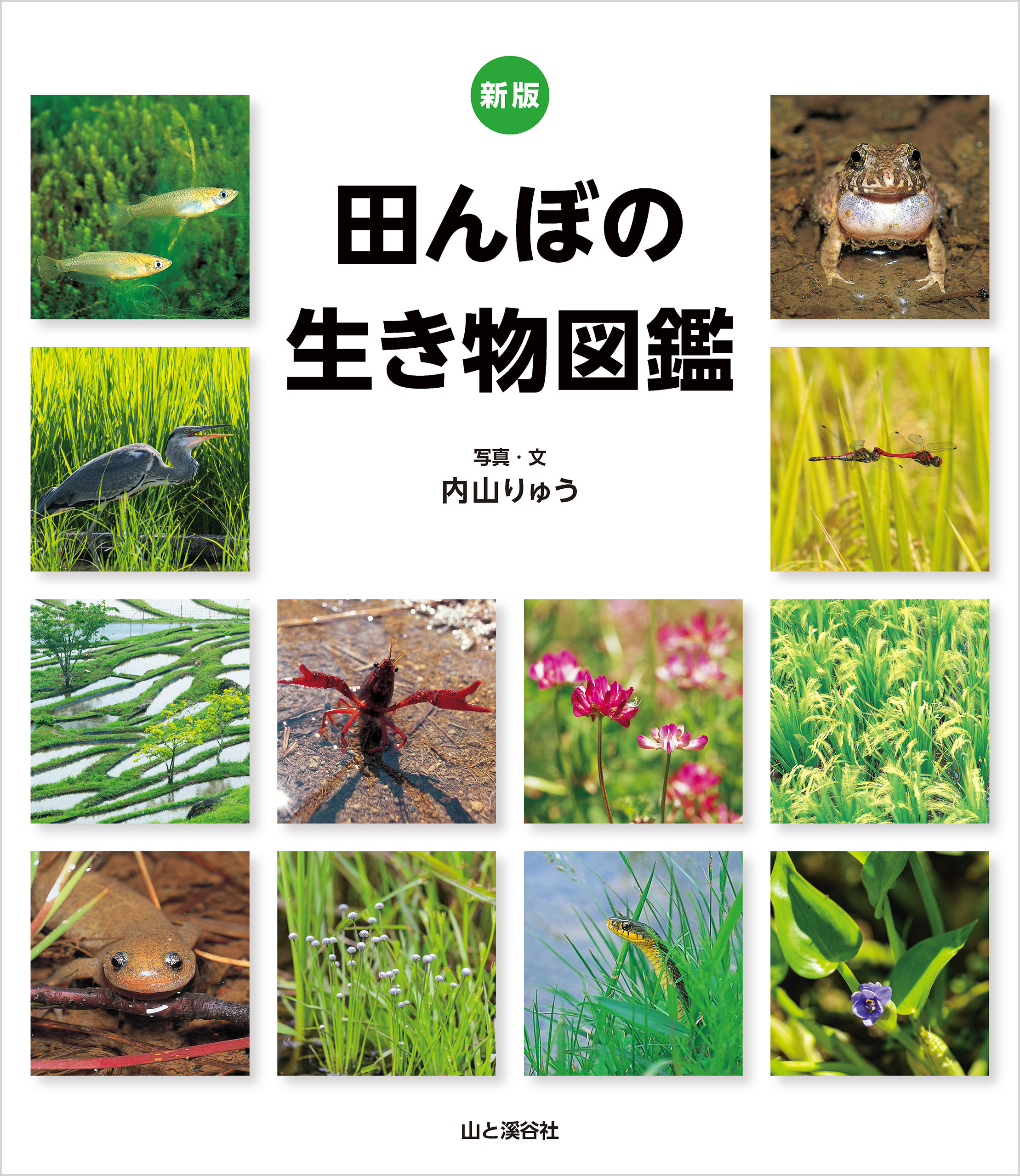 新版 田んぼの生き物図鑑